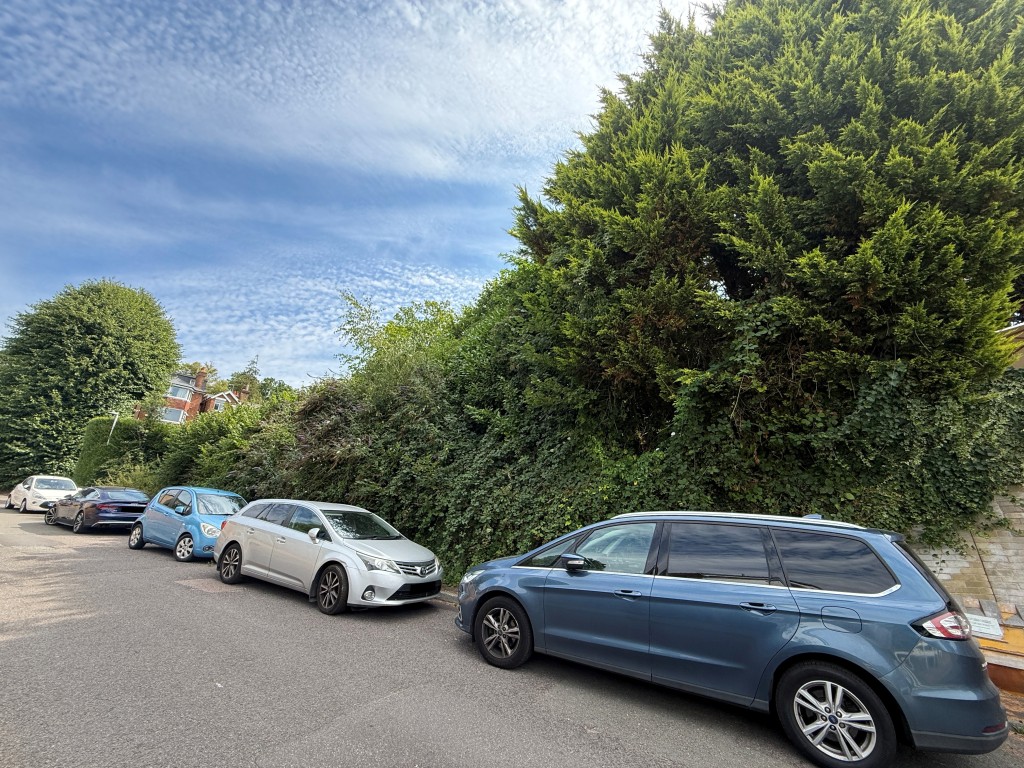 Lot: 9 - LAND WITH POTENTIAL - Wooded parcel of land